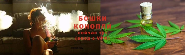 ГАЛЛЮЦИНОГЕННЫЕ ГРИБЫ Балабаново