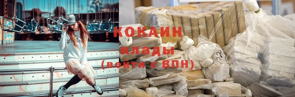 шишки Арсеньев